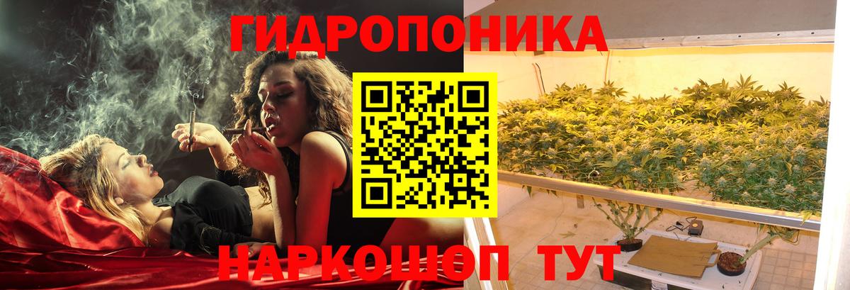 Канабис LSD WEED Новозыбков